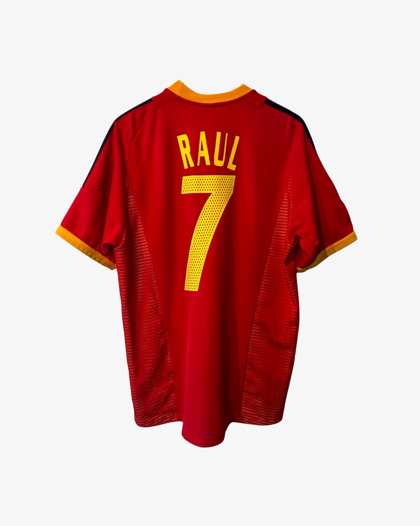 Raul Spain World Cup 2002 #7 (M)