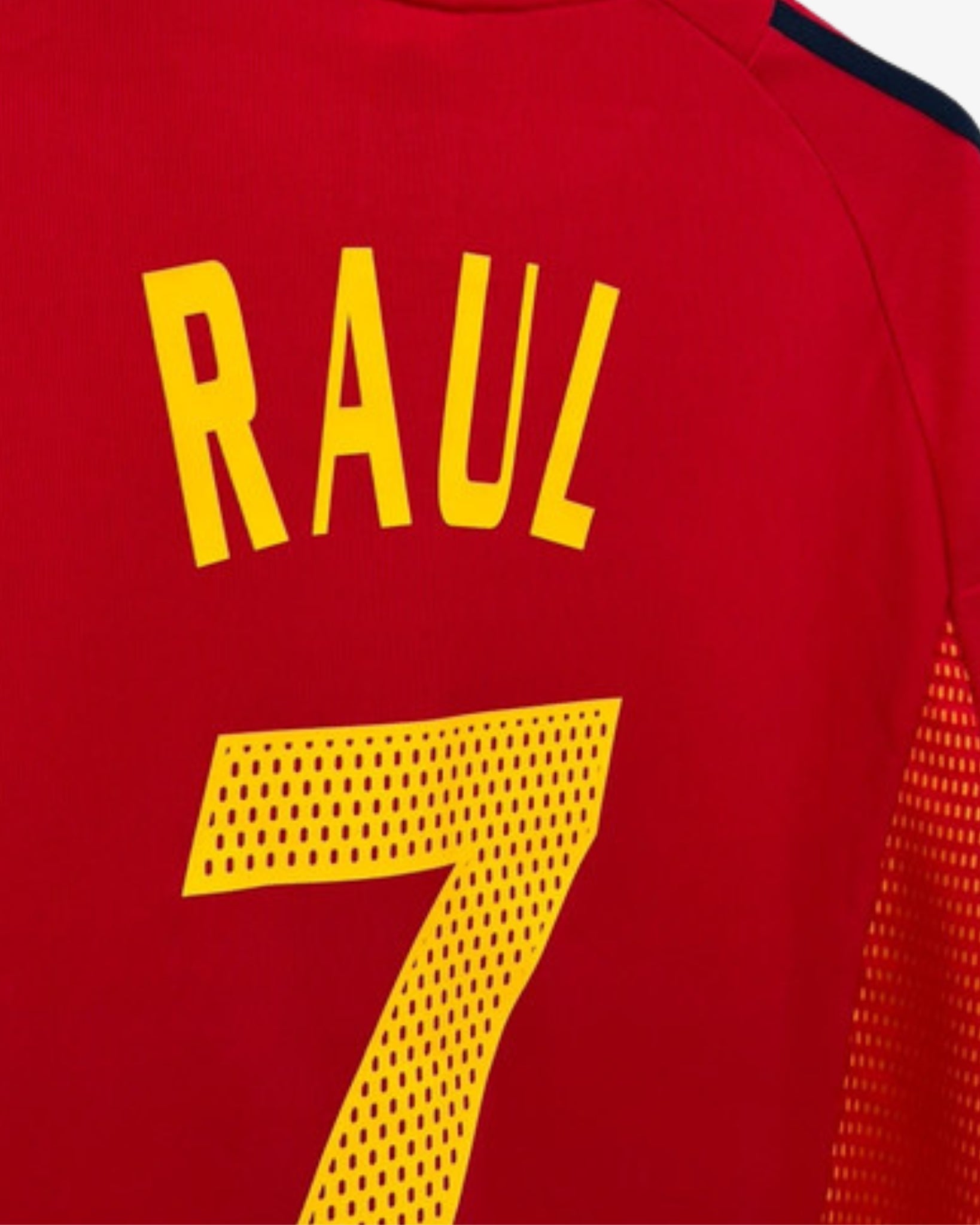 Raul Spain World Cup 2002 #7 (M)